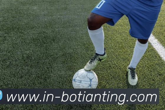 多媒体互动体验